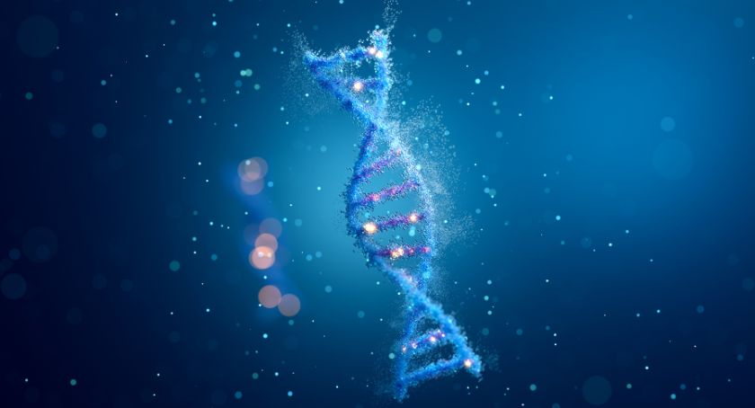 The Longevity Boom Reality Check
